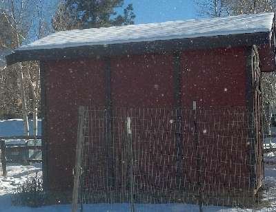 Photo of a side of the completed shed in the winter.